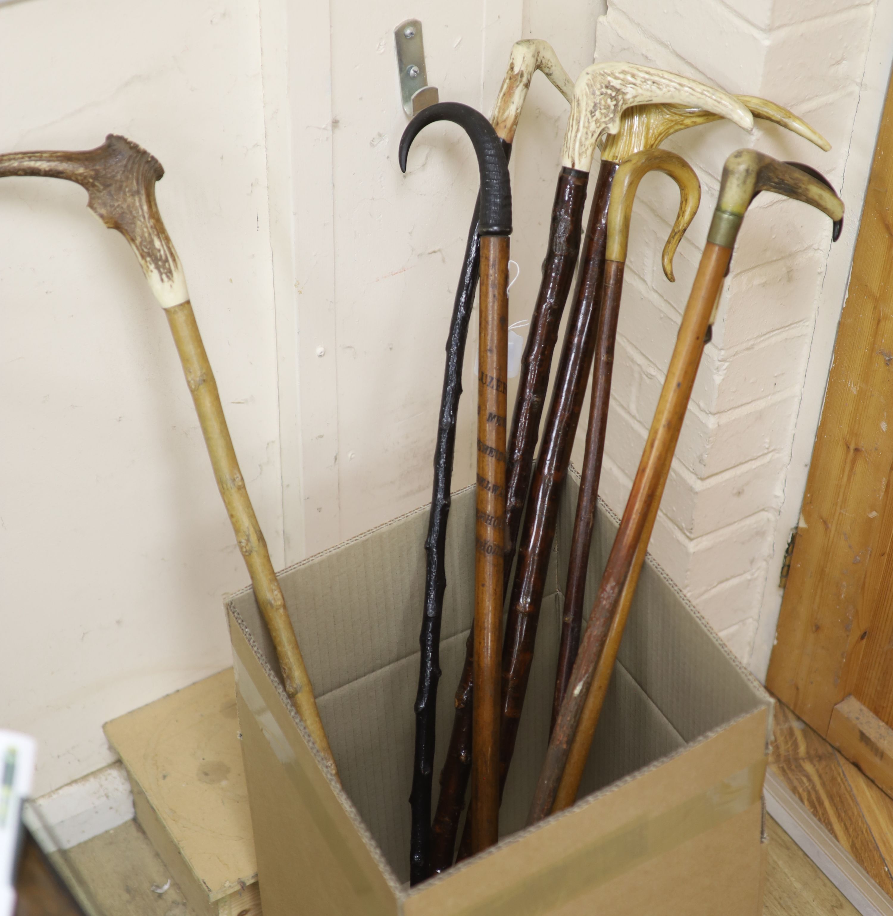 A collection of eight horn and antler handled walking sticks